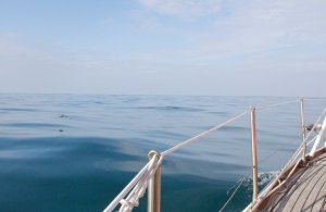 A very flat calm sea. Difficult to describe!!