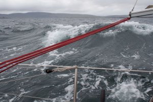 Scurrying along the Coast Line